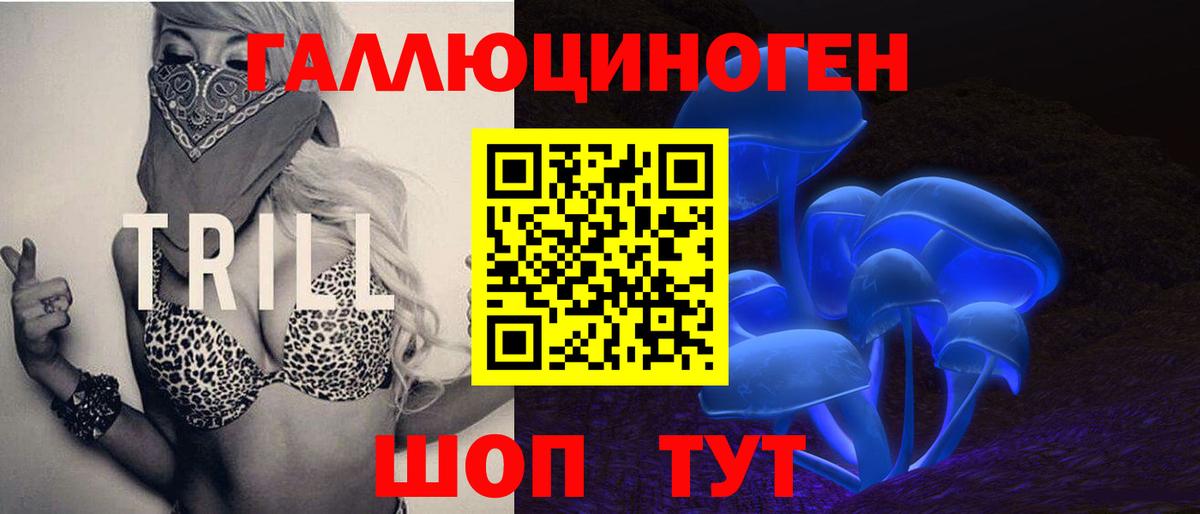 Краснокаменск  Галлюциногенные грибы Psilocybine cubensis  Вход с VPN 