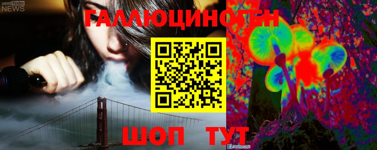 Псилоцибиновые грибы Psilocybine cubensis Краснокаменск